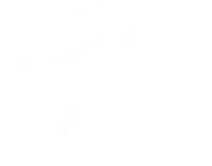 Salty creek logo
