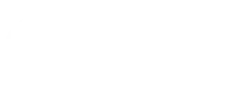 platinum Solution logo