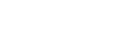 platinum logo
